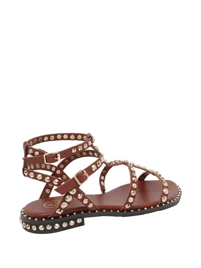 Ash Precious Stud-embellished Sandals In Brown