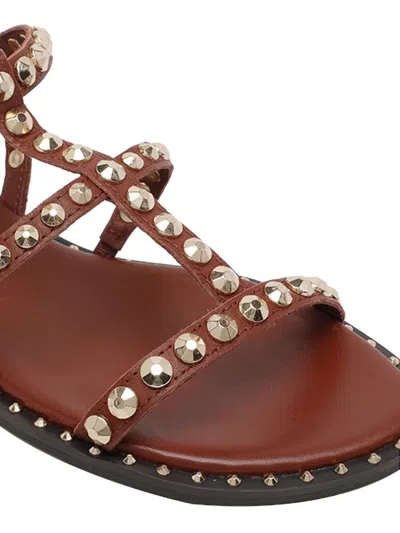 Ash Precious Stud-embellished Sandals In Brown