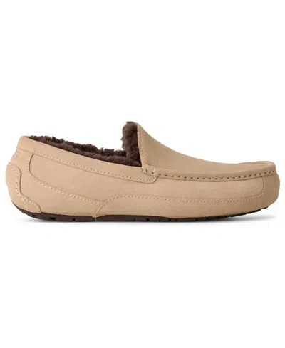 Ugg Ascot In Brown