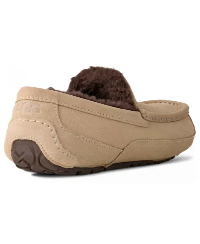 Ugg Ascot In Brown