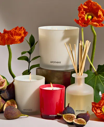 Apotheke Fig And Olive Leaf Reed Diffuser, 6.7 Oz. In Multi