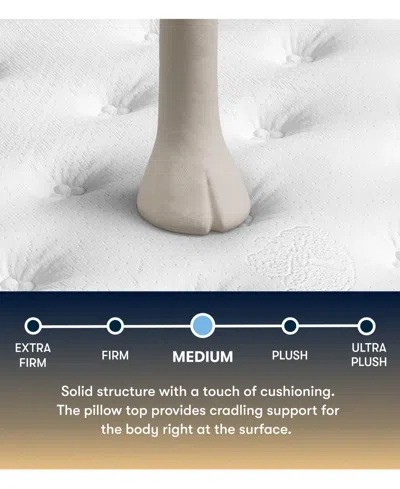 Serta Perfect Sleeper Cascade Canyon 14" Medium Pillow Top Mattress, Queen Split In Multi