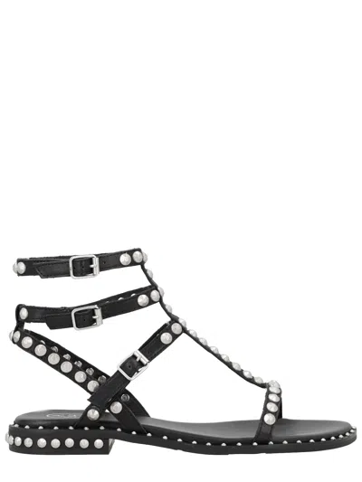 Ash Flat Sandals Three Ankle Straps Studs In Black