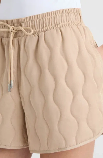 Hunter Quilted Drawstring Shorts In Brown