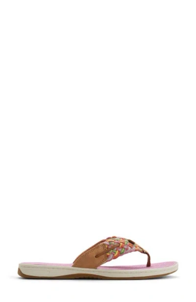 Sperry Parrotfish Sandal In Multi