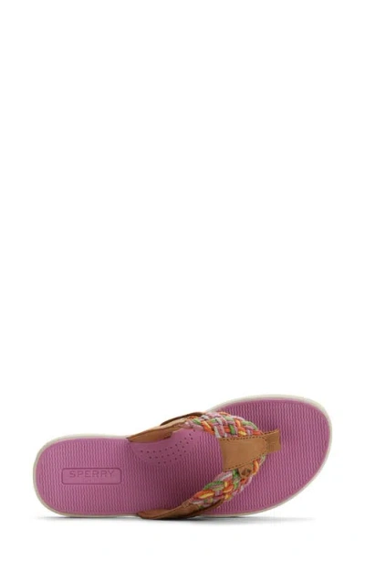 Sperry Parrotfish Sandal In Multi