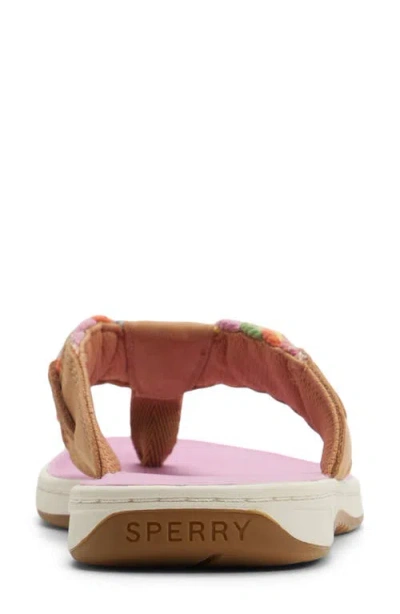 Sperry Parrotfish Sandal In Multi