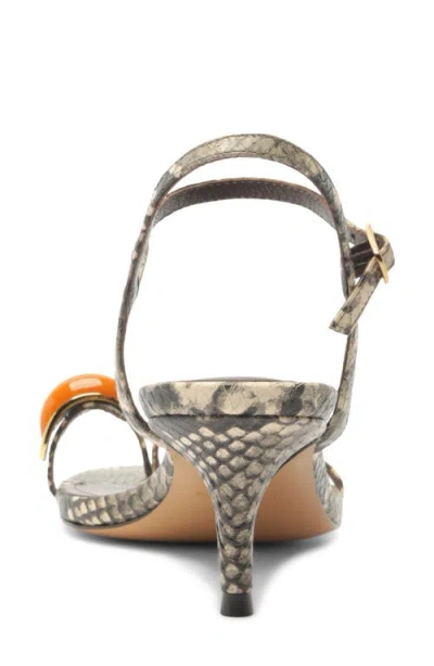 Arezzo Sofia Ankle Strap Sandal In Brown