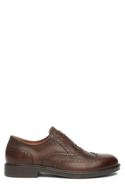 Nerogiardini Wingtip Oxford In Brown