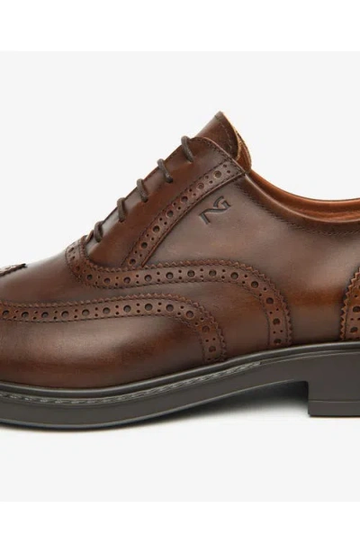 Nerogiardini Wingtip Oxford In Brown