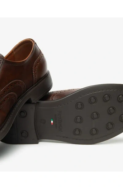 Nerogiardini Wingtip Oxford In Brown