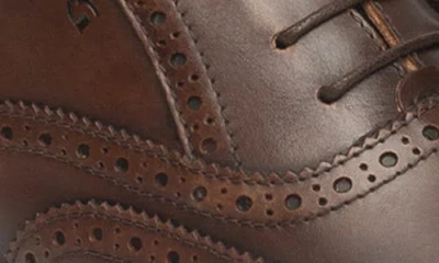 Nerogiardini Wingtip Oxford In Brown