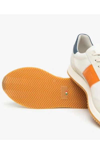 Nerogiardini Retro Low Top Sneaker In Multi