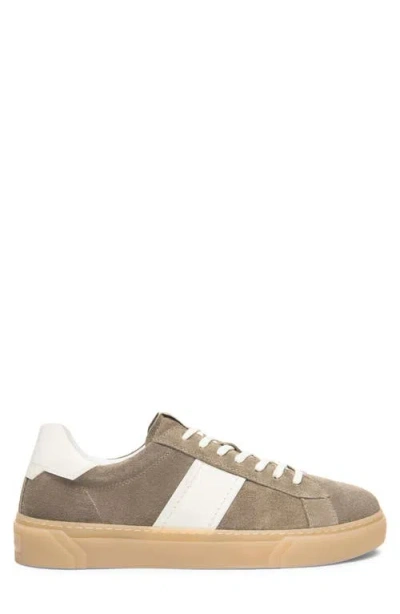 Nerogiardini Low Top Sneaker In Brown