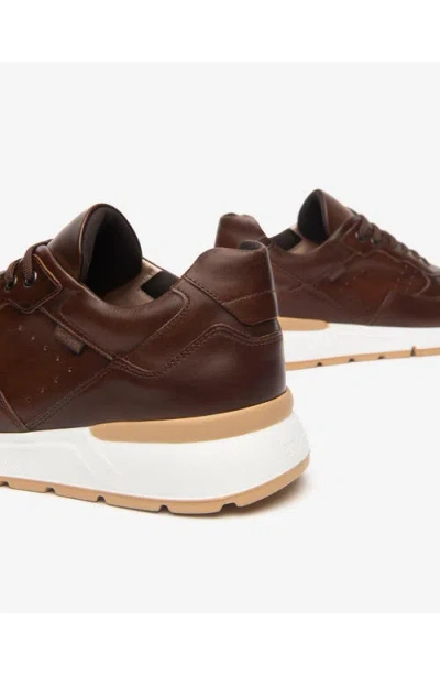 Nerogiardini Low Top Trainer Sneaker In Brown