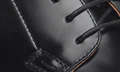 Nerogiardini Plain Toe Derby In Black