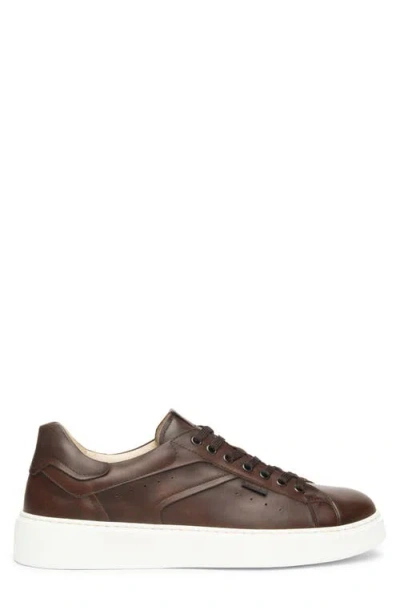 Nerogiardini Low Top Sneaker In Brown