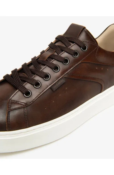 Nerogiardini Low Top Sneaker In Brown