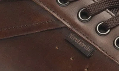 Nerogiardini Low Top Sneaker In Brown