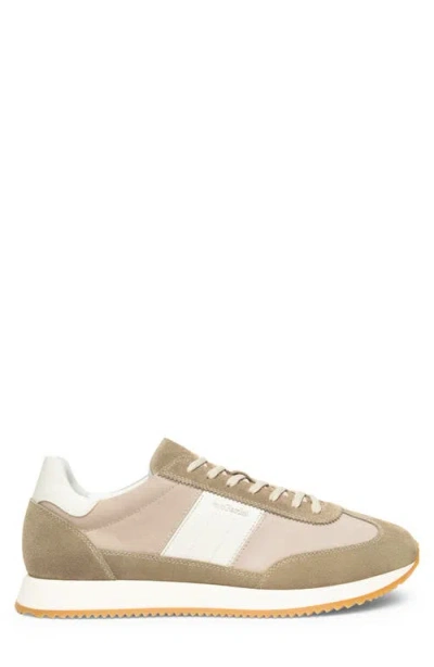 Nerogiardini Low Top Sneaker In Brown