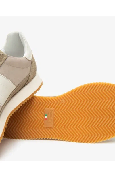 Nerogiardini Low Top Sneaker In Brown
