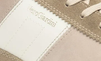 Nerogiardini Low Top Sneaker In Brown