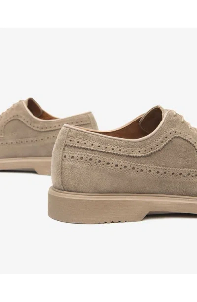 Nerogiardini Wingtip Derby In Brown