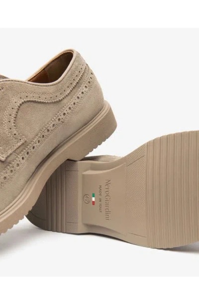 Nerogiardini Wingtip Derby In Brown