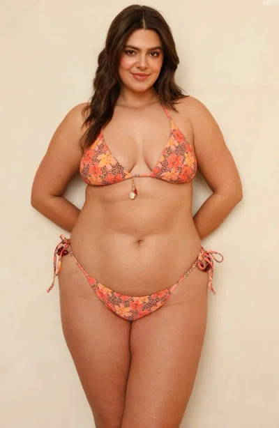 Dippin Daisys Bondi Cheeky Bikini Bottom In Multi