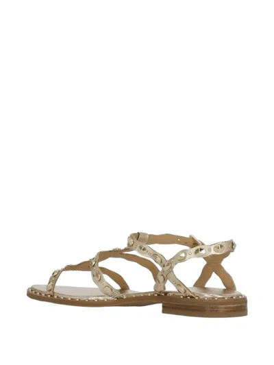 Ash Plus Sandals In Multi