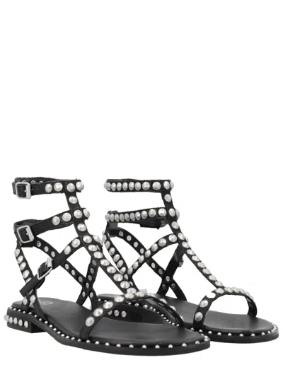 Ash Flat Sandals Three Ankle Straps Studs In Black