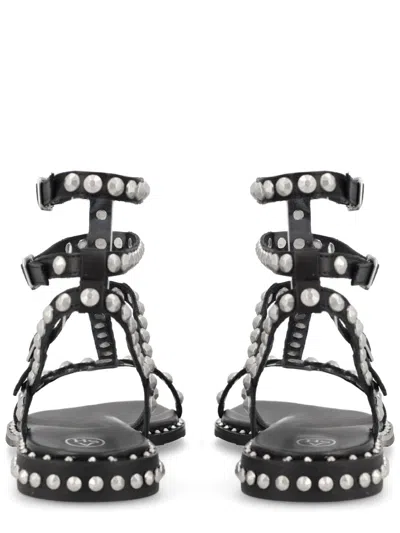 Ash Flat Sandals Three Ankle Straps Studs In Black