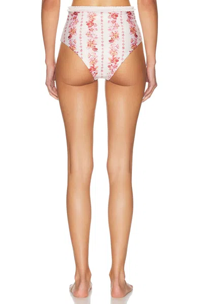 Agua By Agua Bendita Nopaul Floral-printed Stretch Recycled Bikini Briefs In Pink