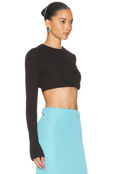Tom Ford Backless Cropped Top In Brown