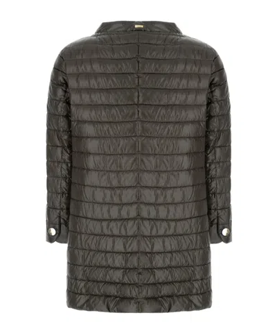 Herno Quilted Jacket In Green