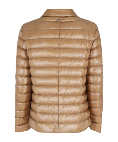 Herno Padded Down Jacket In Brown