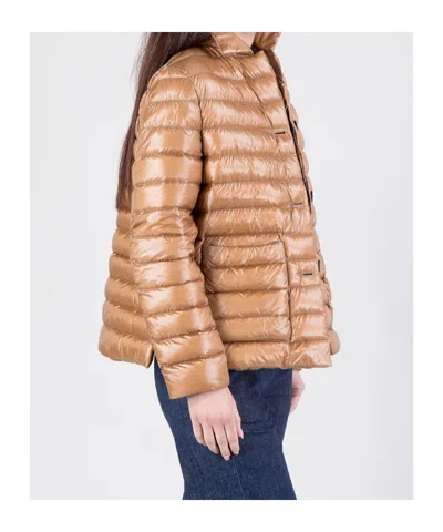 Herno Padded Down Jacket In Brown