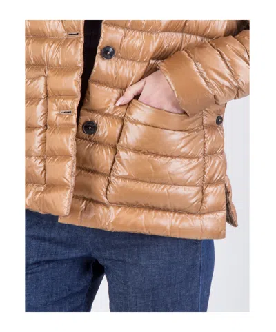 Herno Padded Down Jacket In Brown