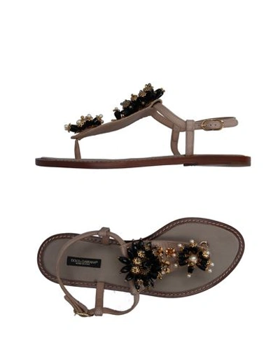 Dolce & Gabbana Toe Strap Sandals In Pale Pink