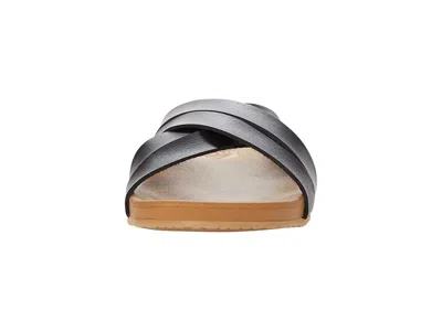 Reef Cushion Spring Bloom In Black