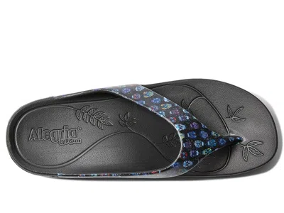 Alegria Ode In Blue