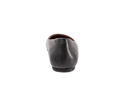 Softwalk Shiraz In Black