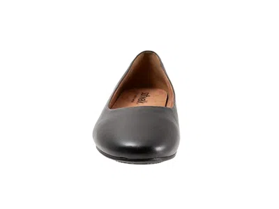Softwalk Shiraz In Black