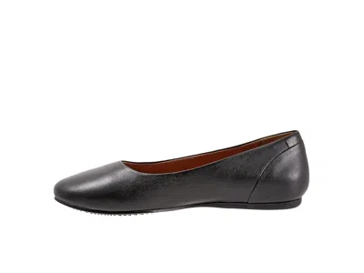 Softwalk Shiraz In Black