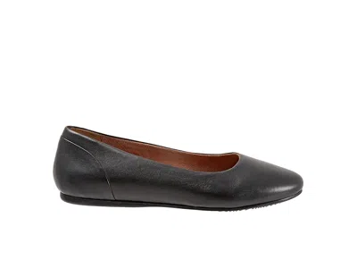 Softwalk Shiraz In Black