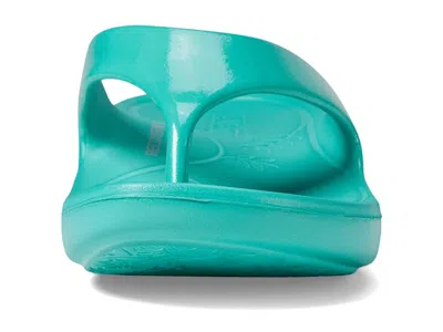 Alegria Ode In Green