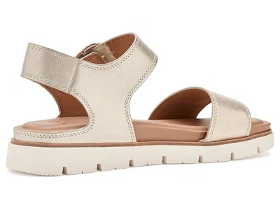 Söfft Gweneth In Multi