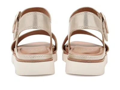 Söfft Gweneth In Multi