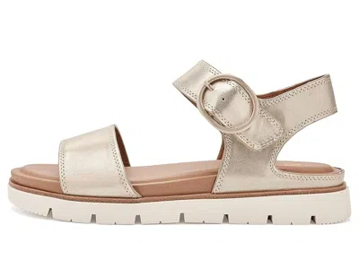 Söfft Gweneth In Multi