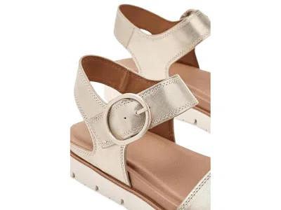 Söfft Gweneth In Multi